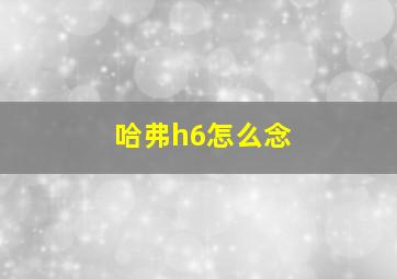 哈弗h6怎么念