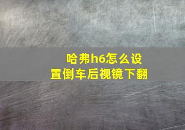 哈弗h6怎么设置倒车后视镜下翻