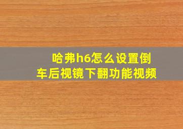 哈弗h6怎么设置倒车后视镜下翻功能视频