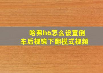 哈弗h6怎么设置倒车后视镜下翻模式视频