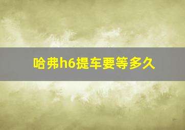 哈弗h6提车要等多久