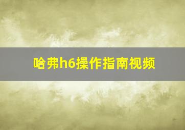 哈弗h6操作指南视频