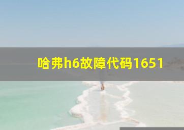 哈弗h6故障代码1651