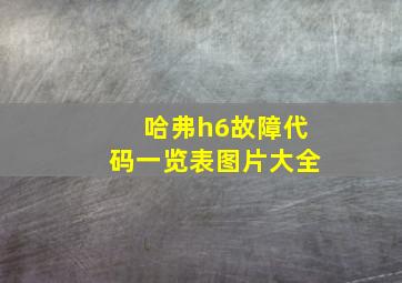 哈弗h6故障代码一览表图片大全