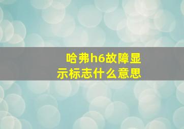 哈弗h6故障显示标志什么意思