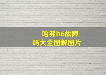 哈弗h6故障码大全图解图片