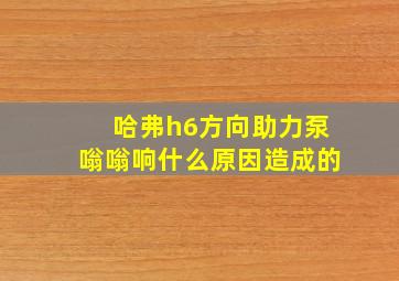 哈弗h6方向助力泵嗡嗡响什么原因造成的