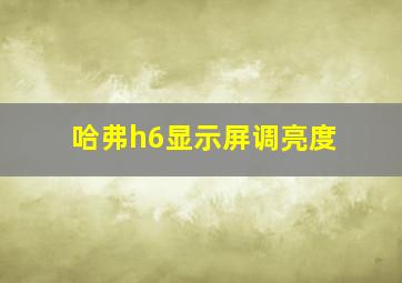 哈弗h6显示屏调亮度