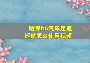 哈弗h6汽车定速巡航怎么使用视频