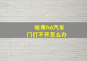 哈弗h6汽车门打不开怎么办