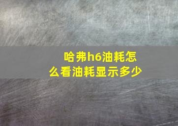 哈弗h6油耗怎么看油耗显示多少