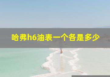 哈弗h6油表一个各是多少