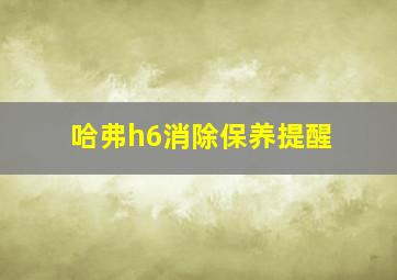 哈弗h6消除保养提醒