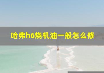 哈弗h6烧机油一般怎么修