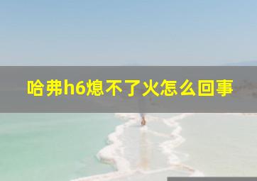 哈弗h6熄不了火怎么回事