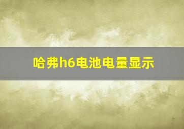 哈弗h6电池电量显示