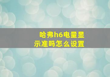 哈弗h6电量显示准吗怎么设置