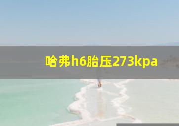 哈弗h6胎压273kpa