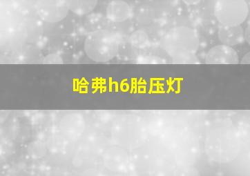 哈弗h6胎压灯