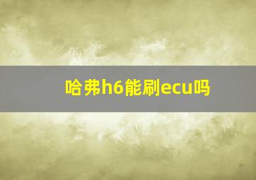 哈弗h6能刷ecu吗