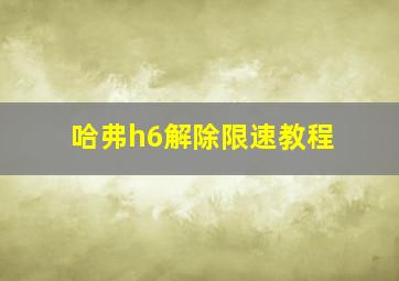 哈弗h6解除限速教程