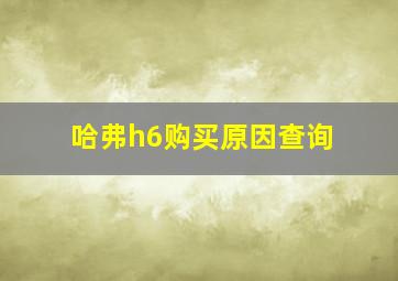 哈弗h6购买原因查询