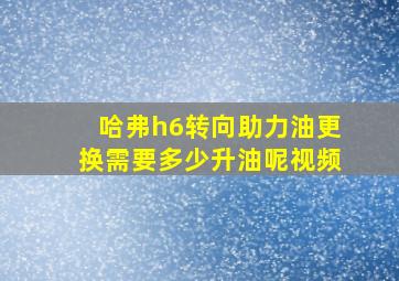 哈弗h6转向助力油更换需要多少升油呢视频