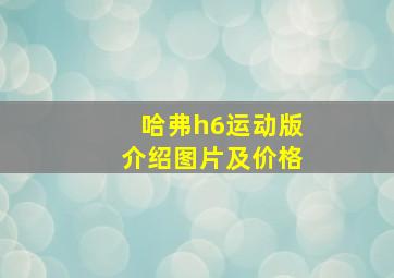 哈弗h6运动版介绍图片及价格