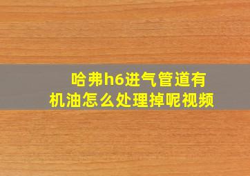 哈弗h6进气管道有机油怎么处理掉呢视频