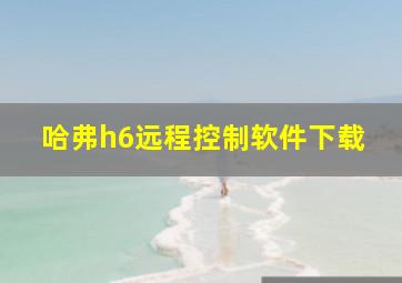 哈弗h6远程控制软件下载