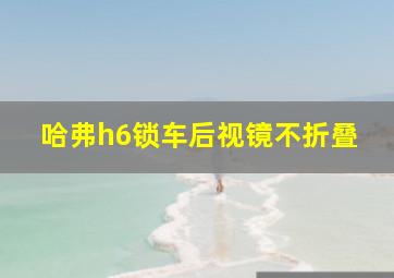 哈弗h6锁车后视镜不折叠