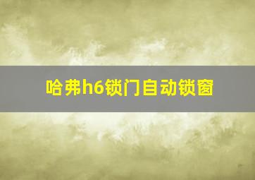 哈弗h6锁门自动锁窗