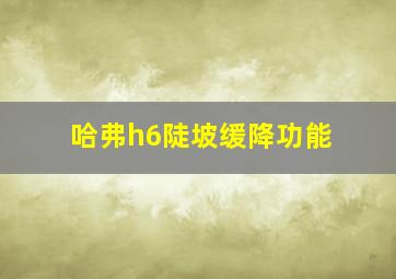 哈弗h6陡坡缓降功能