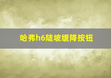 哈弗h6陡坡缓降按钮