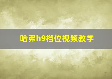 哈弗h9档位视频教学