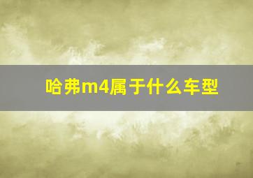 哈弗m4属于什么车型