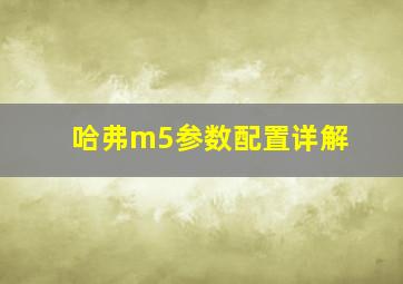 哈弗m5参数配置详解