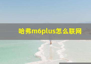 哈弗m6plus怎么联网