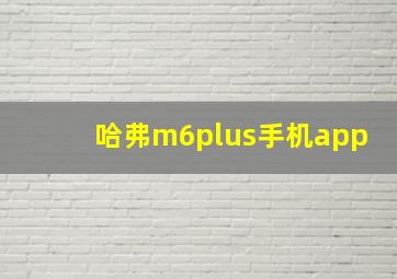 哈弗m6plus手机app