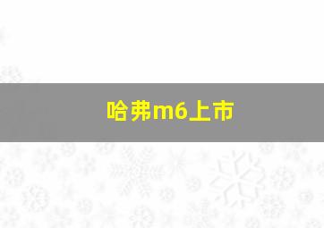 哈弗m6上市