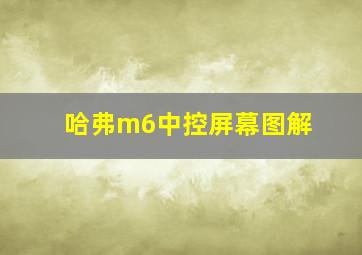 哈弗m6中控屏幕图解