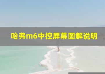 哈弗m6中控屏幕图解说明