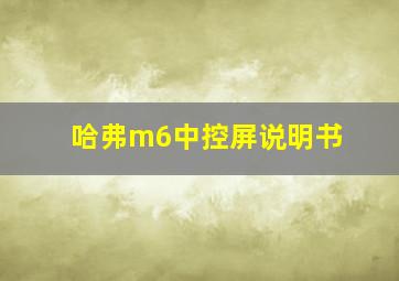 哈弗m6中控屏说明书