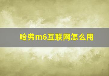 哈弗m6互联网怎么用