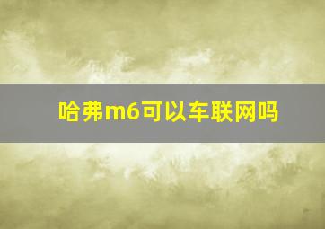 哈弗m6可以车联网吗