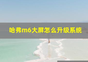 哈弗m6大屏怎么升级系统