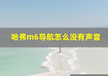 哈弗m6导航怎么没有声音