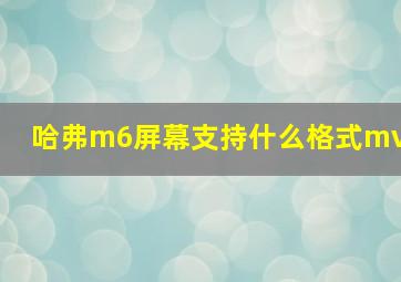 哈弗m6屏幕支持什么格式mv