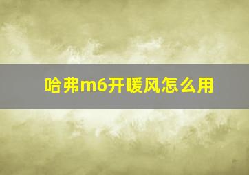 哈弗m6开暖风怎么用