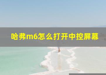 哈弗m6怎么打开中控屏幕